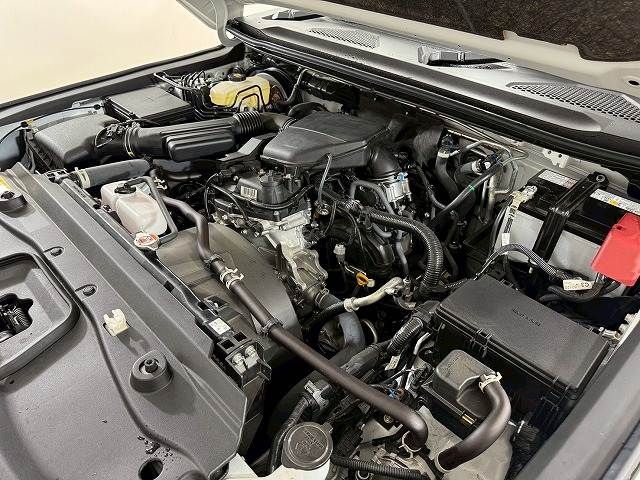 LANDCRUISER 250