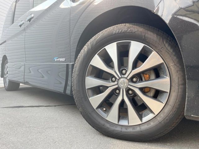 SERENA  S-HYBRID