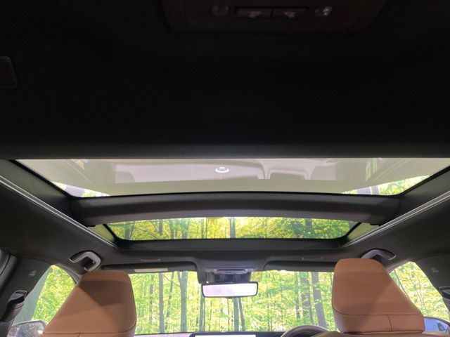 CROWN SPORT