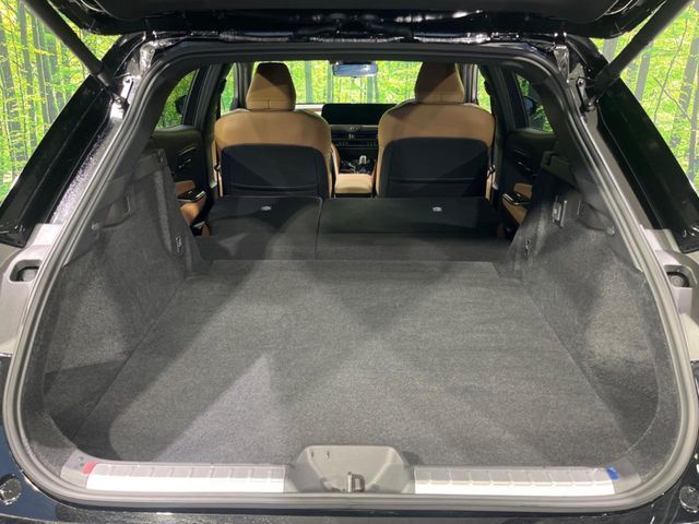 CROWN SPORT