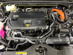 CROWN SPORT
