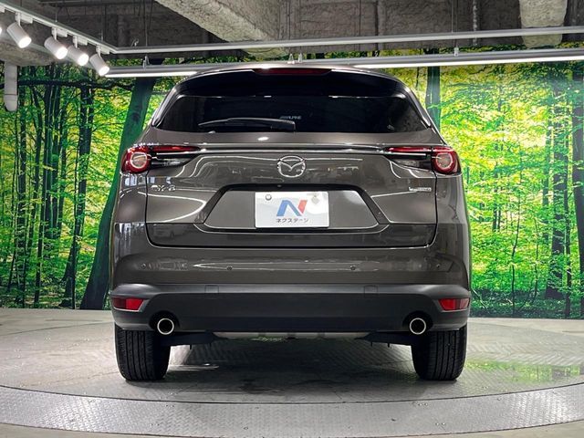 CX-8
