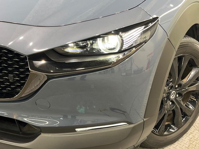 CX-30