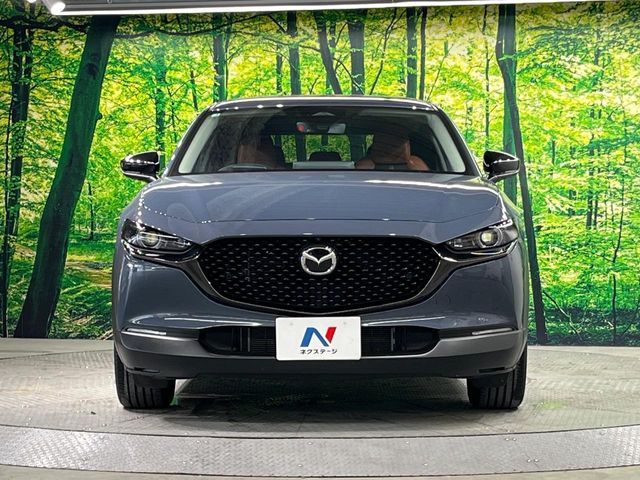 CX-30