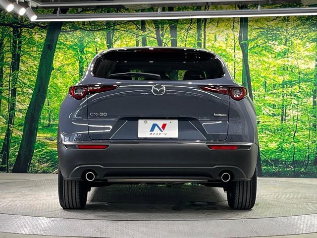 CX-30