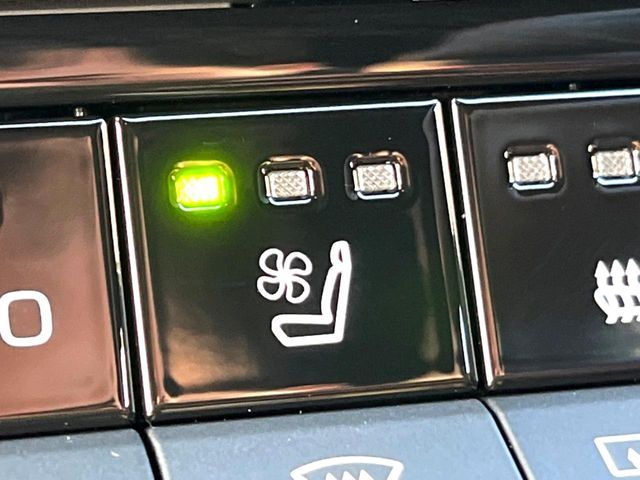 CROWN SPORT
