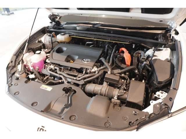 CROWN SPORT