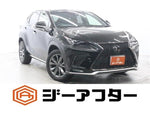 LEXUS NX300