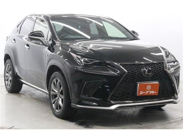LEXUS NX300