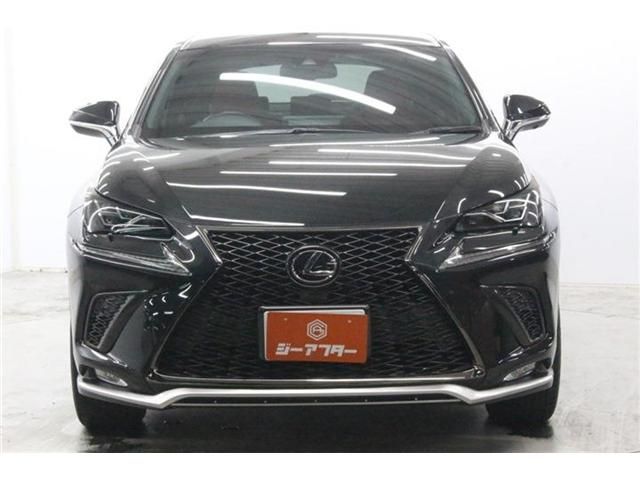 LEXUS NX300