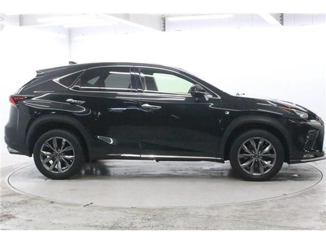LEXUS NX300