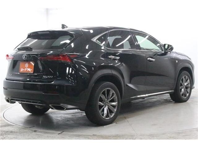 LEXUS NX300