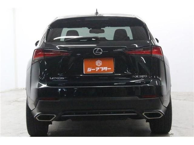 LEXUS NX300