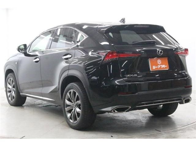 LEXUS NX300