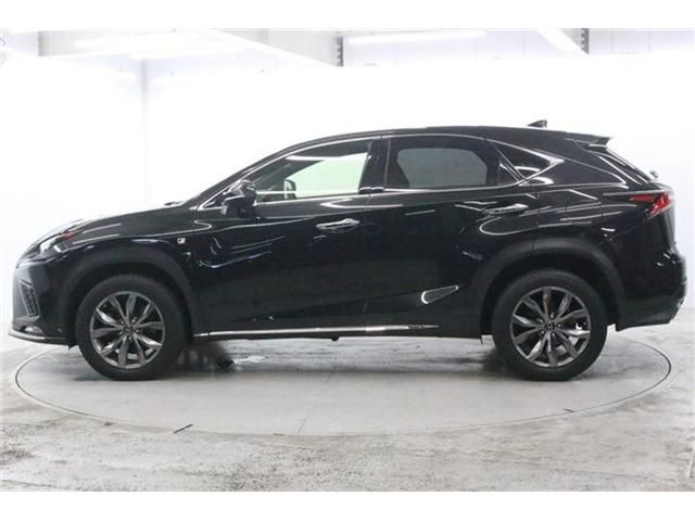 LEXUS NX300