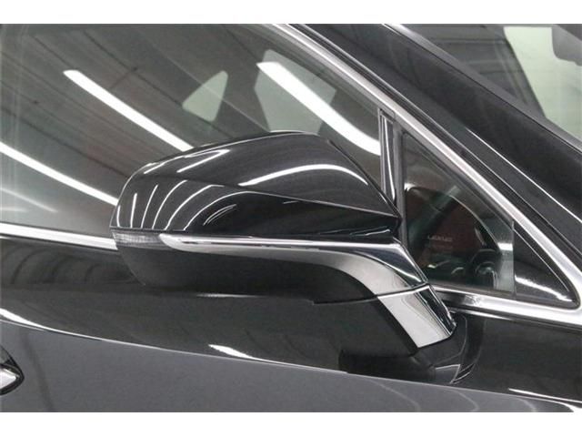 LEXUS NX300