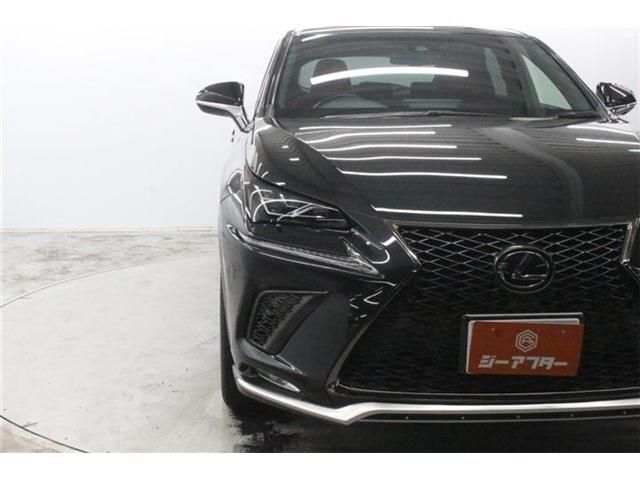 LEXUS NX300