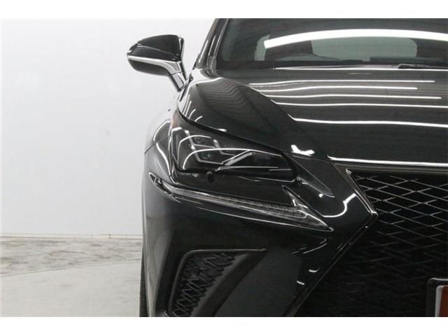 LEXUS NX300