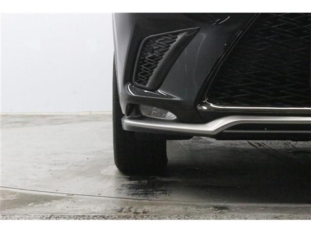 LEXUS NX300