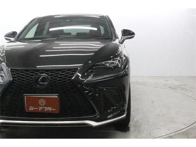 LEXUS NX300