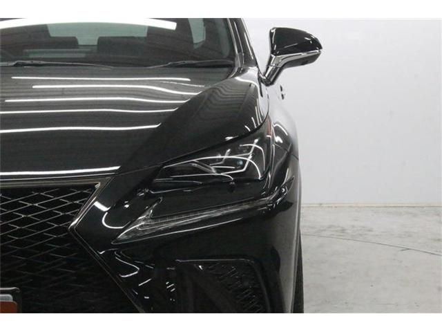 LEXUS NX300