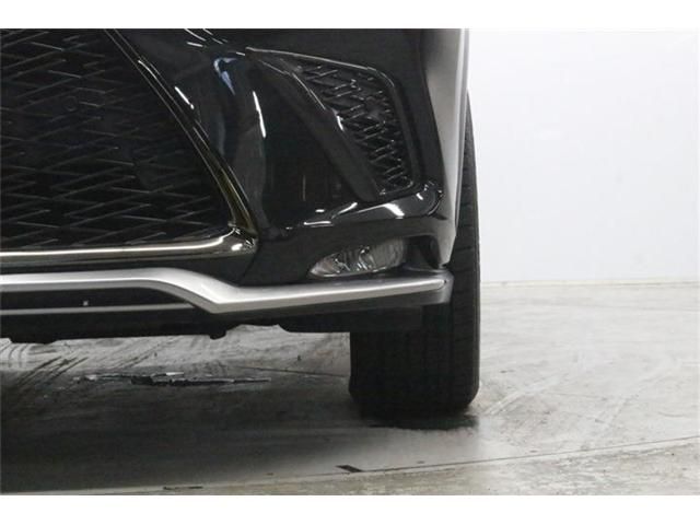 LEXUS NX300