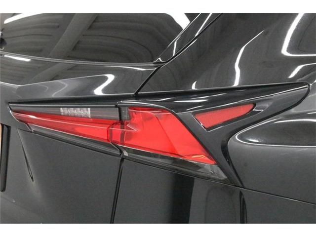 LEXUS NX300