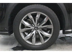 LEXUS NX300