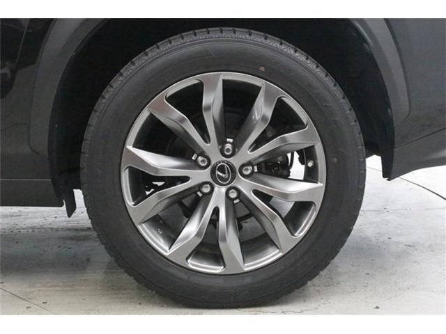 LEXUS NX300