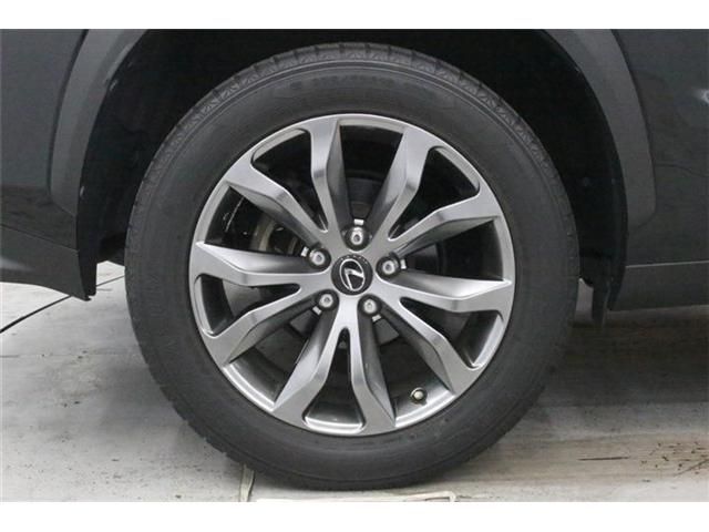 LEXUS NX300