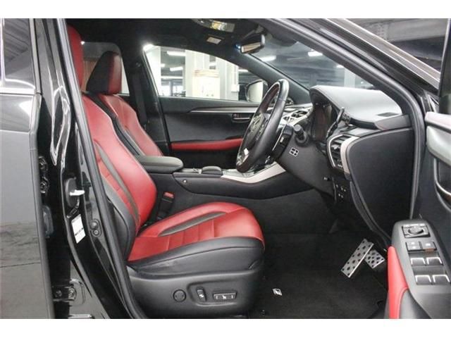 LEXUS NX300