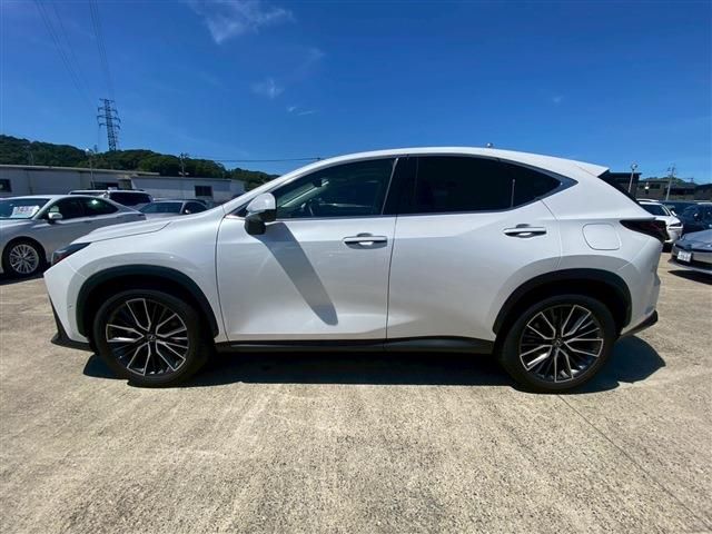 LEXUS NX350h
