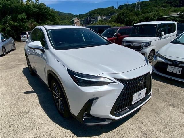 LEXUS NX350h