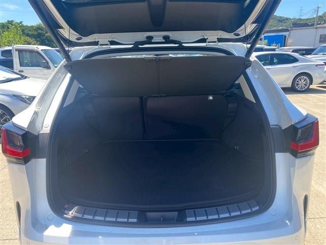 LEXUS NX350h