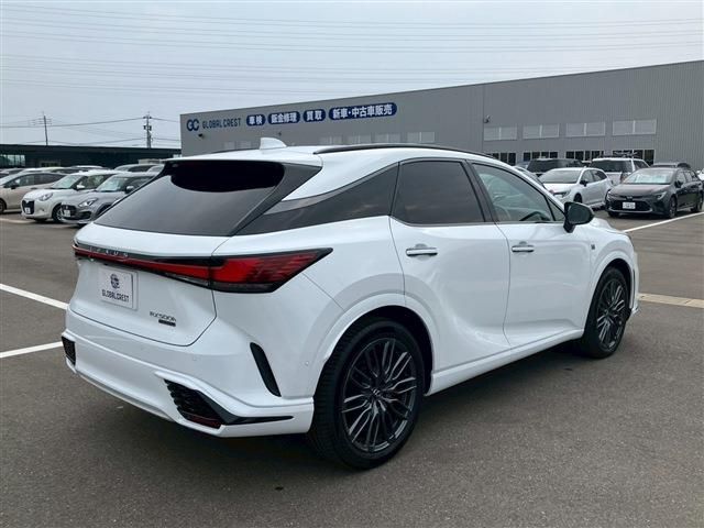 LEXUS RX500h