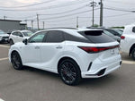 LEXUS RX500h