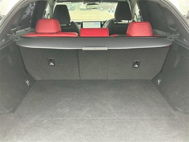 LEXUS RX500h