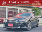 LEXUS ES300h