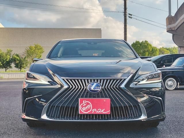 LEXUS ES300h
