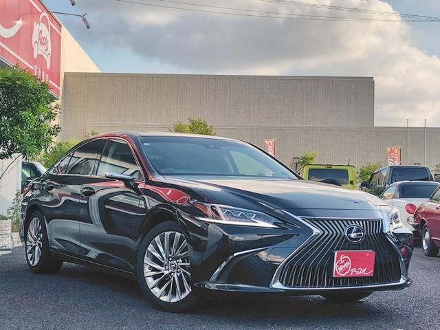 LEXUS ES300h