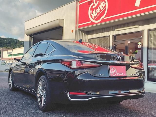 LEXUS ES300h