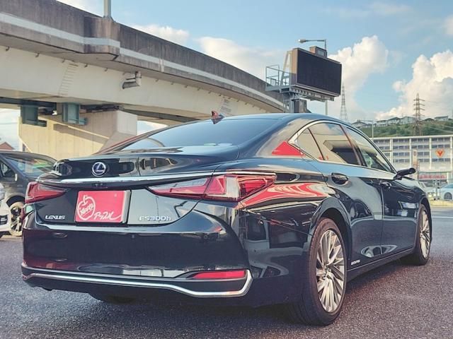 LEXUS ES300h