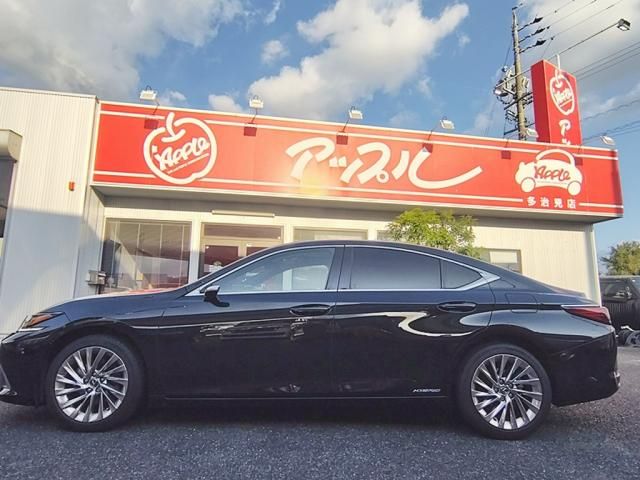 LEXUS ES300h
