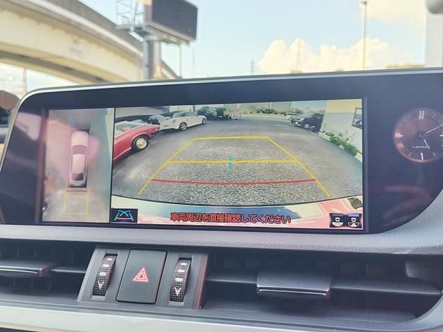 LEXUS ES300h