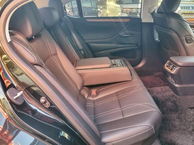 LEXUS ES300h