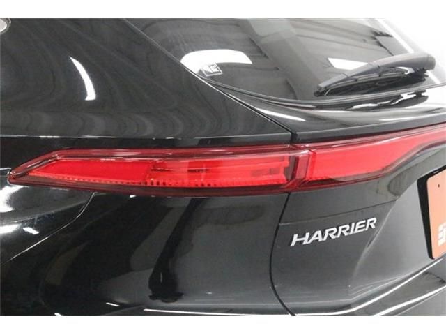 HARRIER HYBRID