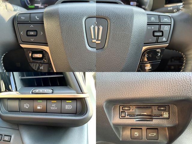 CROWN SPORT