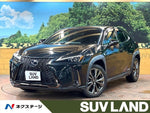 LEXUS UX250h