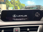 LEXUS UX250h