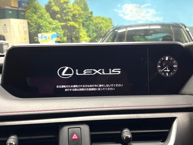 LEXUS UX250h